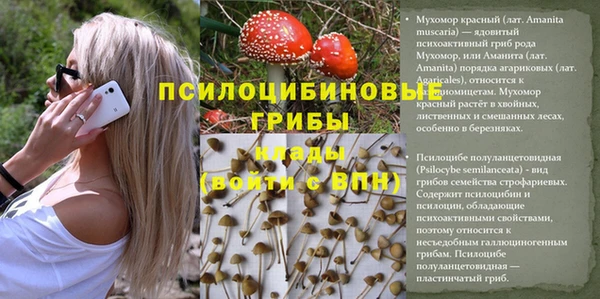 соль курить ск Аркадак
