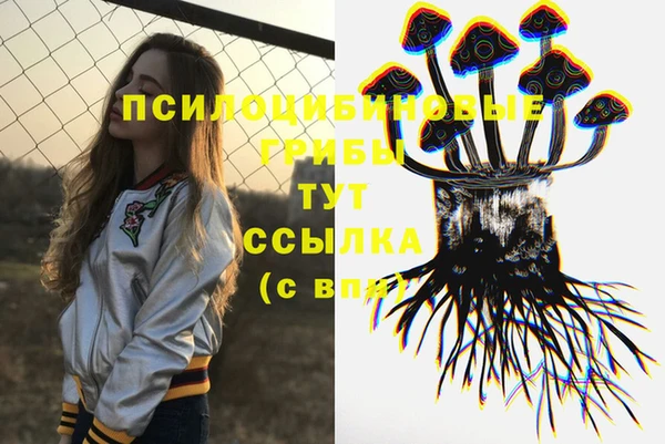 дурь Армянск