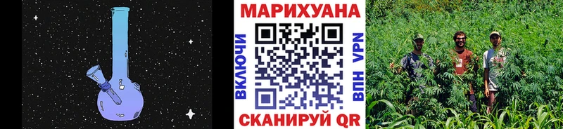 Шишки марихуана семена  Снежногорск 